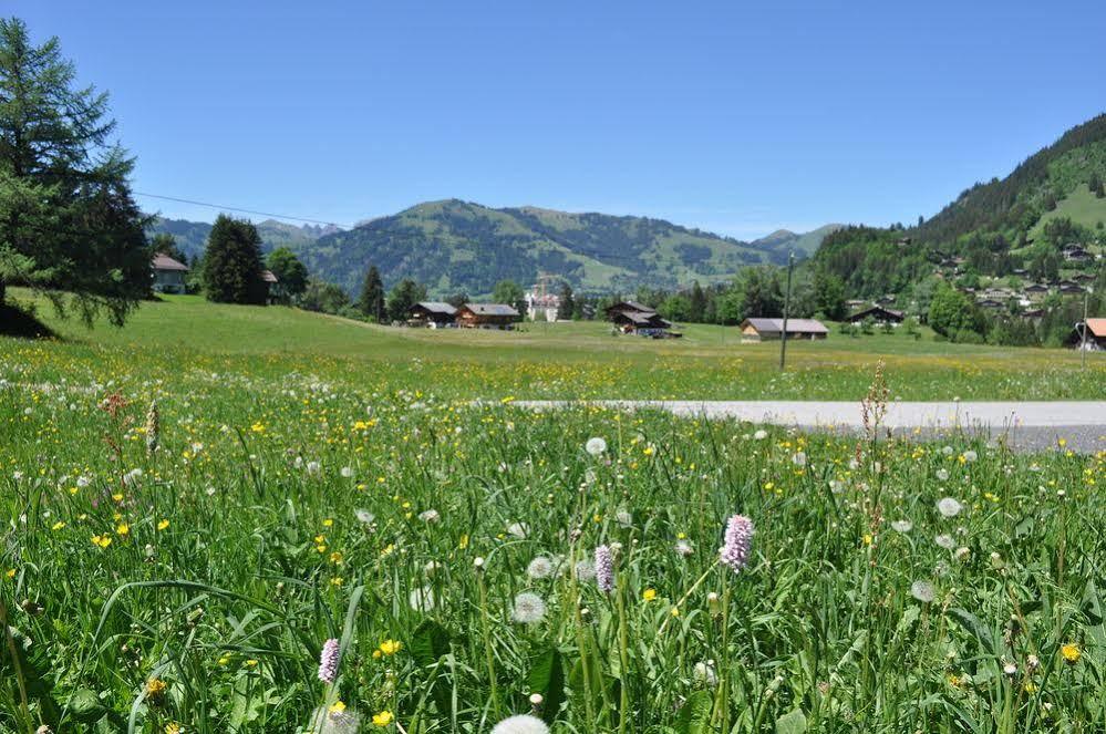 Alpenchalet Weidhaus Gstaad: Versatile Alpine Lodging Options Exterior photo