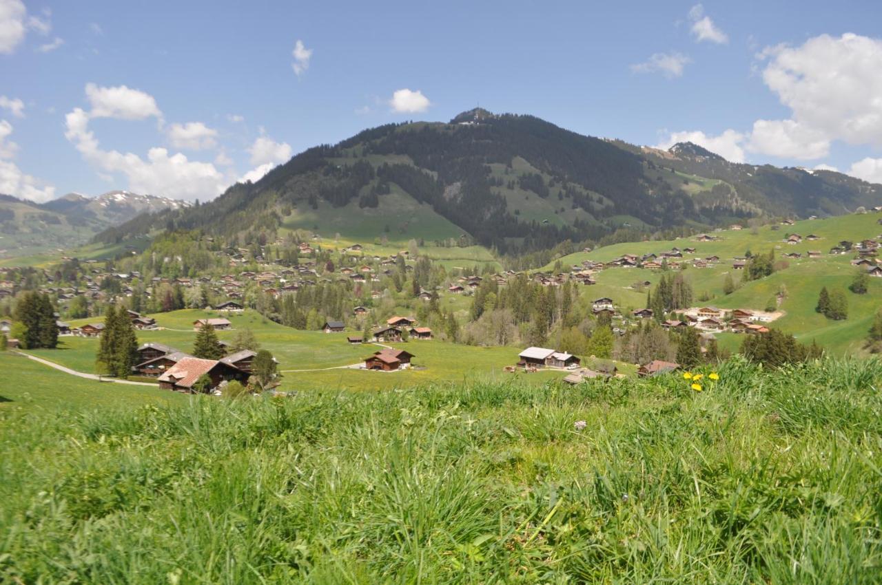 Alpenchalet Weidhaus Gstaad: Versatile Alpine Lodging Options Exterior photo