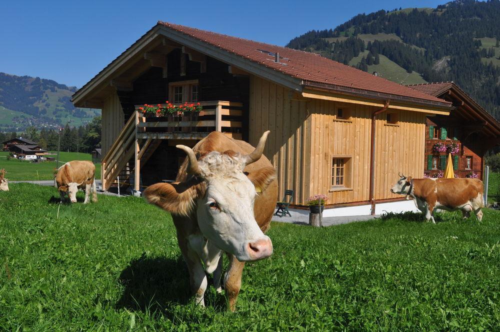 Alpenchalet Weidhaus Gstaad: Versatile Alpine Lodging Options Exterior photo