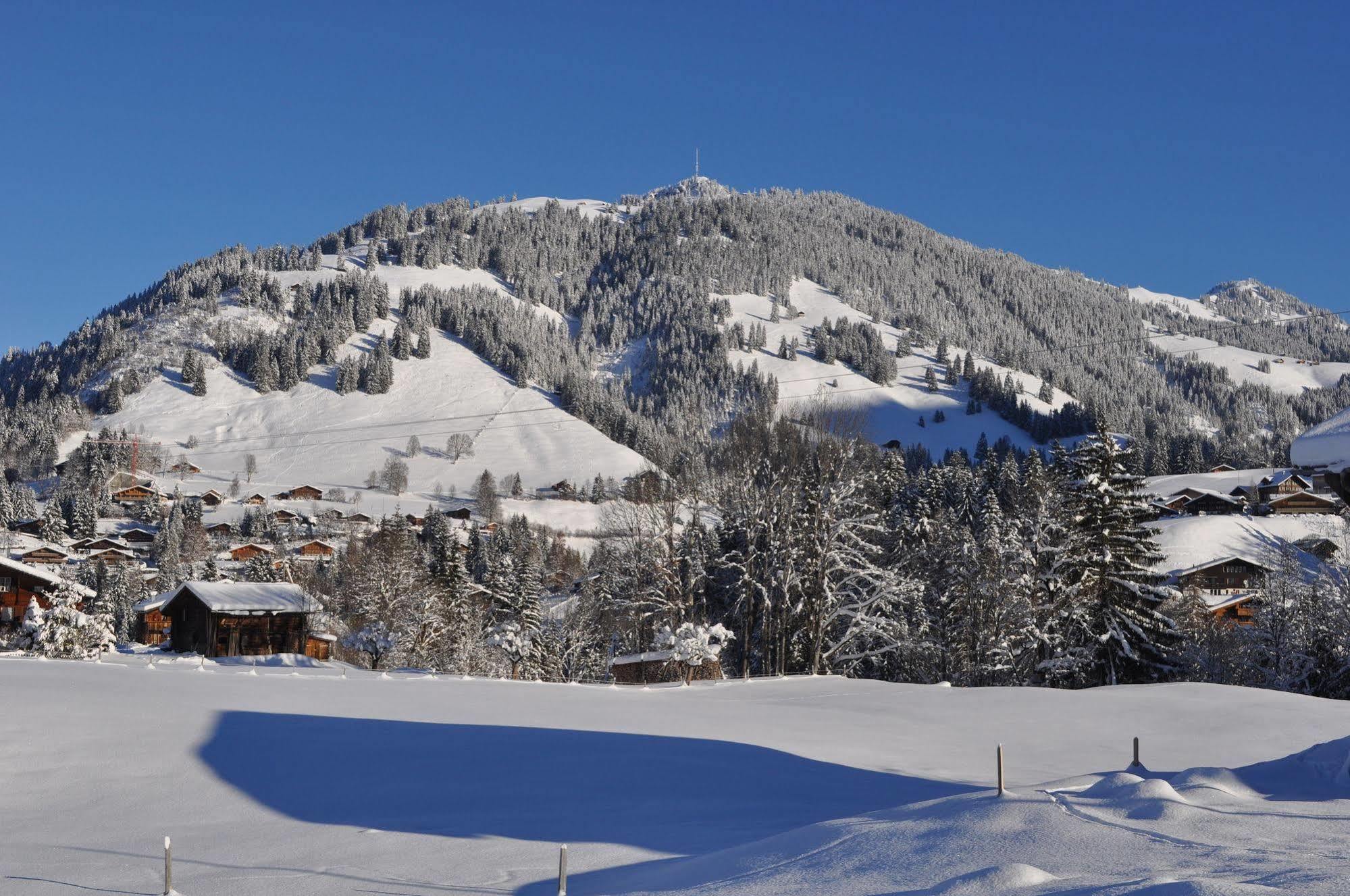 Alpenchalet Weidhaus Gstaad: Versatile Alpine Lodging Options Exterior photo